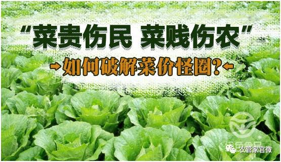 农产品价格跌入谷底，农民利益如何守护？